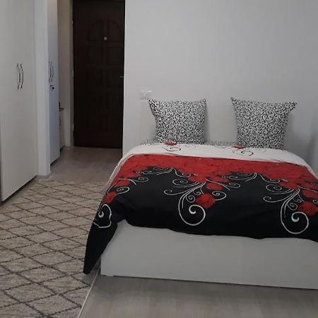 Irvin Apartament Iasi Exteriér fotografie