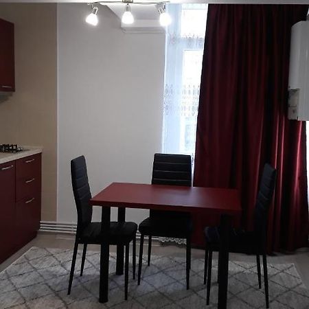 Irvin Apartament Iasi Exteriér fotografie