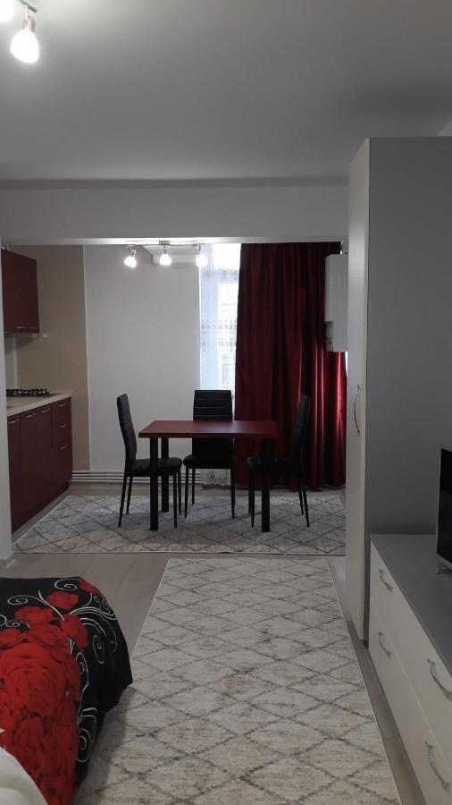 Irvin Apartament Iasi Exteriér fotografie