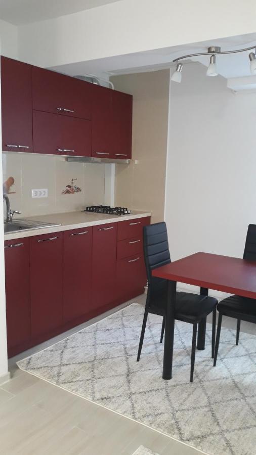 Irvin Apartament Iasi Exteriér fotografie